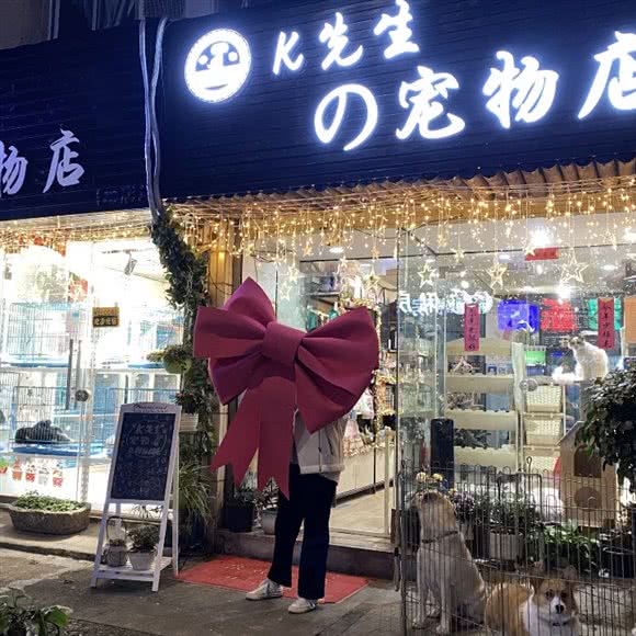 K先生的宠物店(台州店):台州市临海市