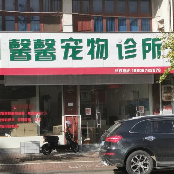 馨馨宠物诊所:台州市临海市