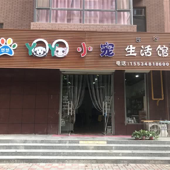 悠悠小宠:运城市盐湖区北郊附近
