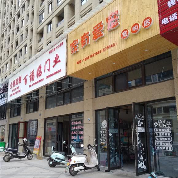 十家有爱宠:丽水市遂昌县