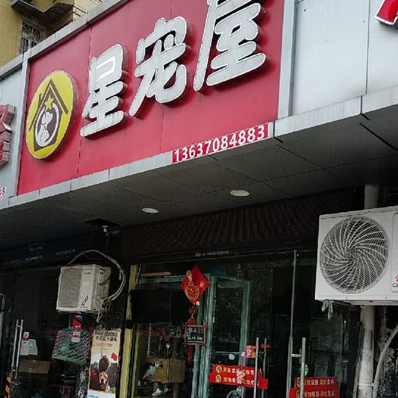 星在宠屋:合肥市瑶海区