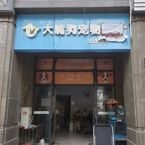 大嘴狗宠物:合肥市庐阳区