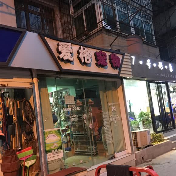 爱格宠物:合肥市庐阳区