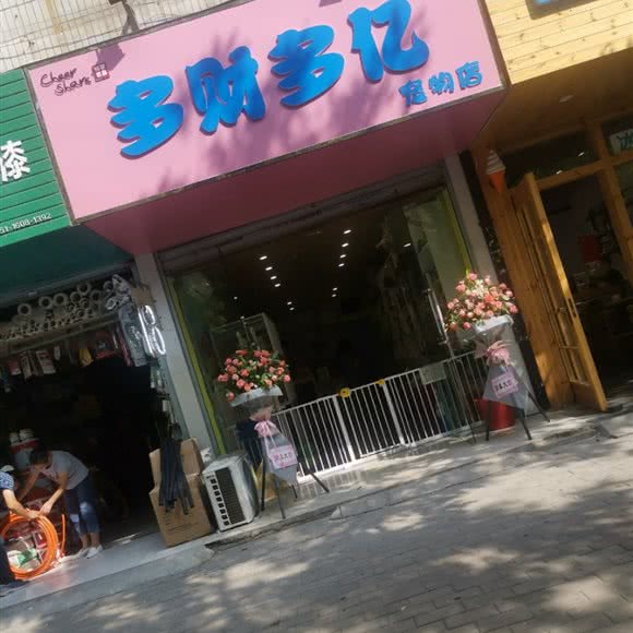 多财多亿宠物店:合肥市庐阳区