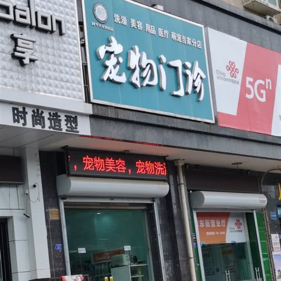 宠物门诊:运城市盐湖区北郊附近
