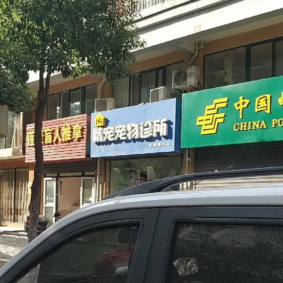 精宠宠物诊所(茨河路分店):合肥市庐阳区