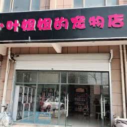 小叶姐姐d宠物店:合肥市蜀山区