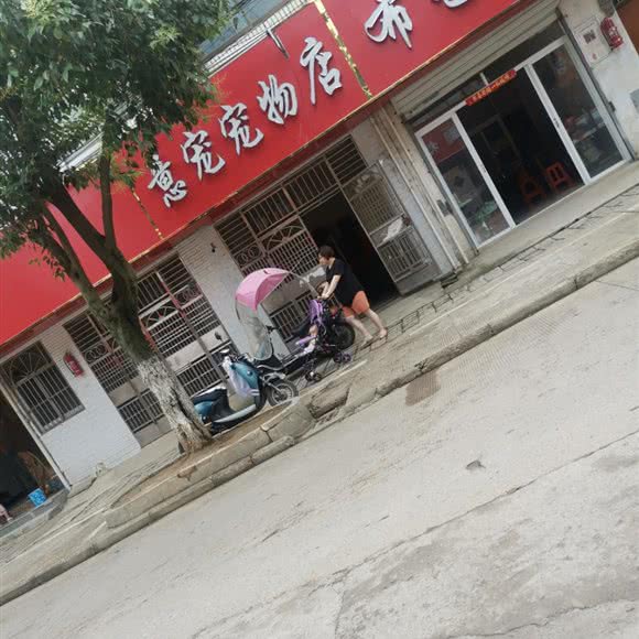 意宠宠物店:合肥市蜀山区
