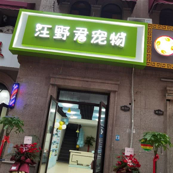 汪野君宠物店:合肥市包河区