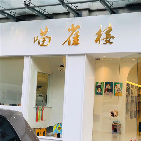 喵雀楼宠物美容(天山大厦店):合肥市包河区