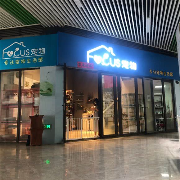 专注宠物店:合肥市包河区