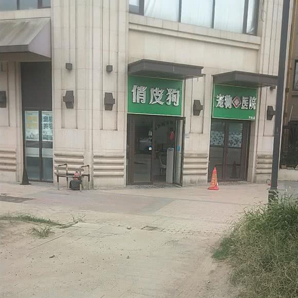 俏皮狗宠物医院(万达店):合肥市包河区