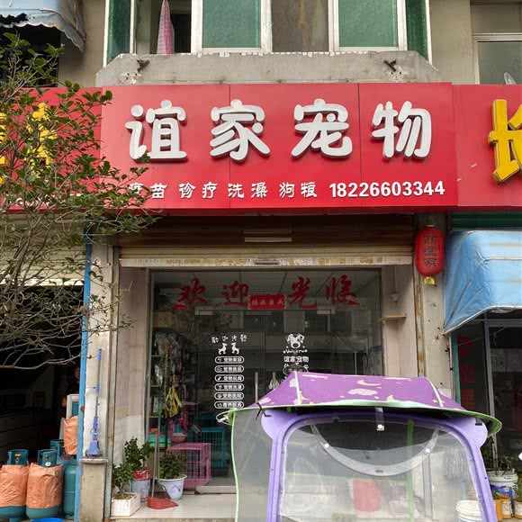 谊家宠物:合肥市长丰县