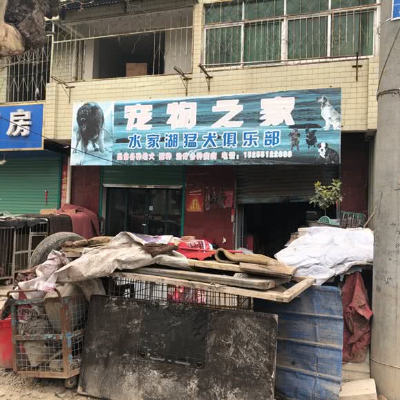 宠物之家:合肥市长丰县