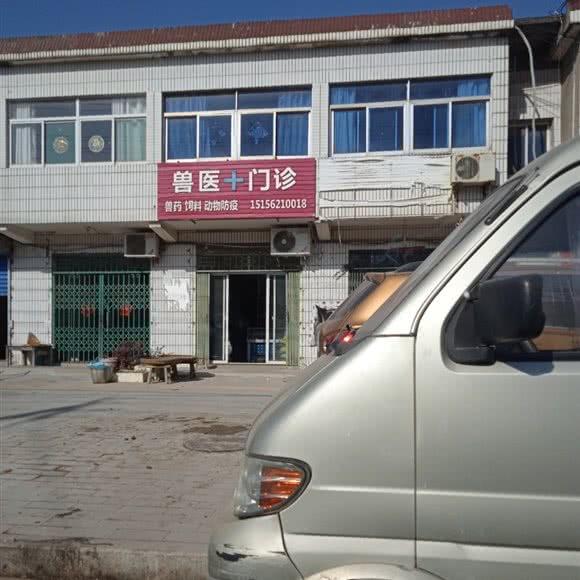 兽医门诊:合肥市长丰县