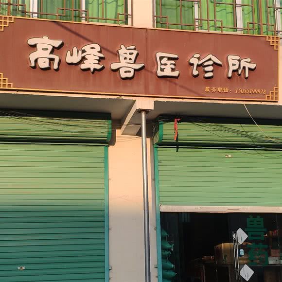 高峰兽医诊所:合肥市长丰县