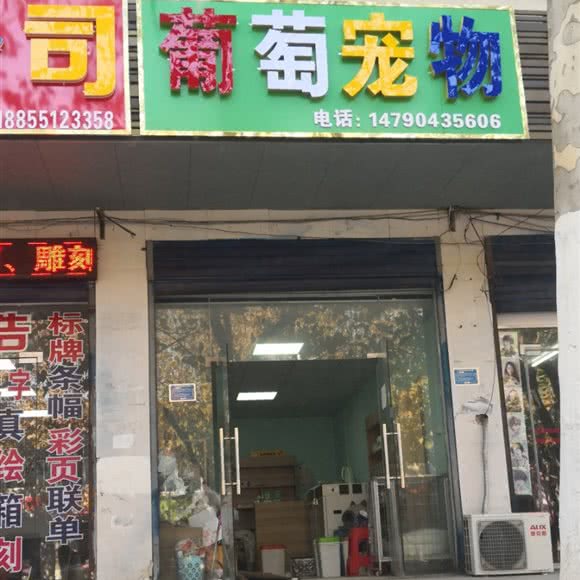 葡萄宠物:合肥市肥东县