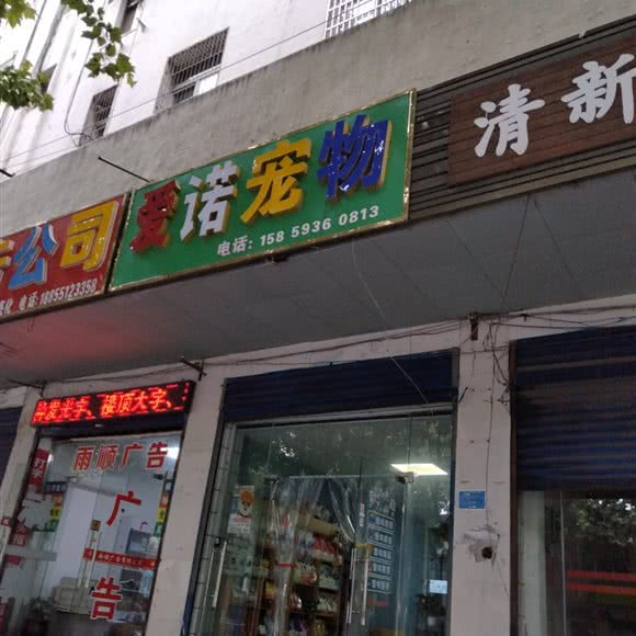 爱诺宠物:合肥市肥东县
