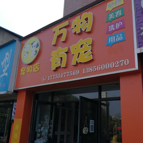 万物有宠:合肥市肥东县