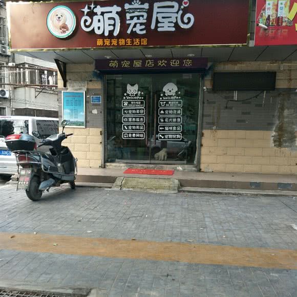 萌宠屋:合肥市肥东县