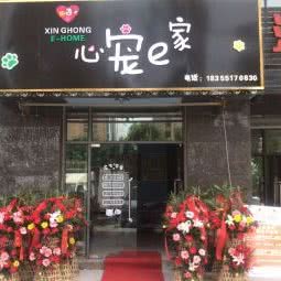 心宠e家:合肥市肥西县