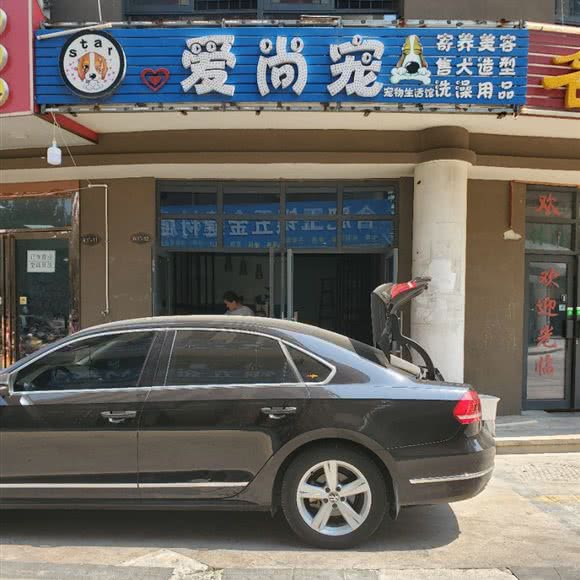 爱尚宠:合肥市肥西县