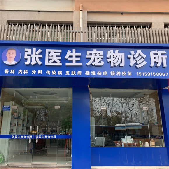 张医生宠物诊所:合肥市肥西县
