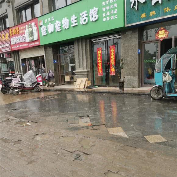宠咖宠物生活馆(庐江店):合肥市庐江县