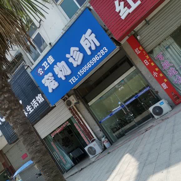 卫佳宠物诊所:合肥市庐江县