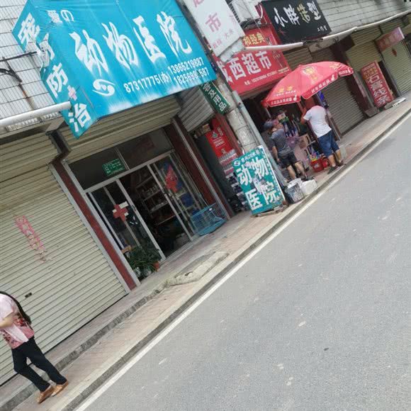 动物医院:合肥市庐江县