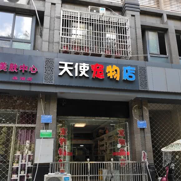 天使宠物店:合肥市巢湖市