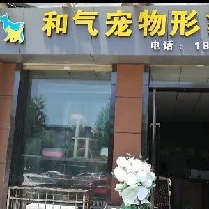 和气宠物形象店:运城市盐湖区中银大道附近