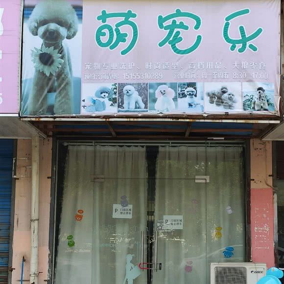 萌宠乐:芜湖市南陵县