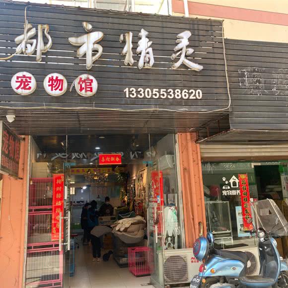 都市精灵宠物馆:芜湖市南陵县