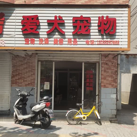 爱犬宠物:蚌埠市龙子湖区
