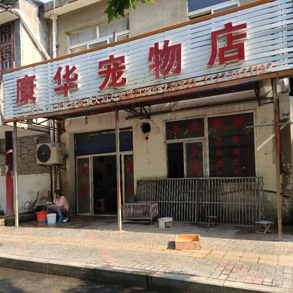 康华宠物店:蚌埠市龙子湖区