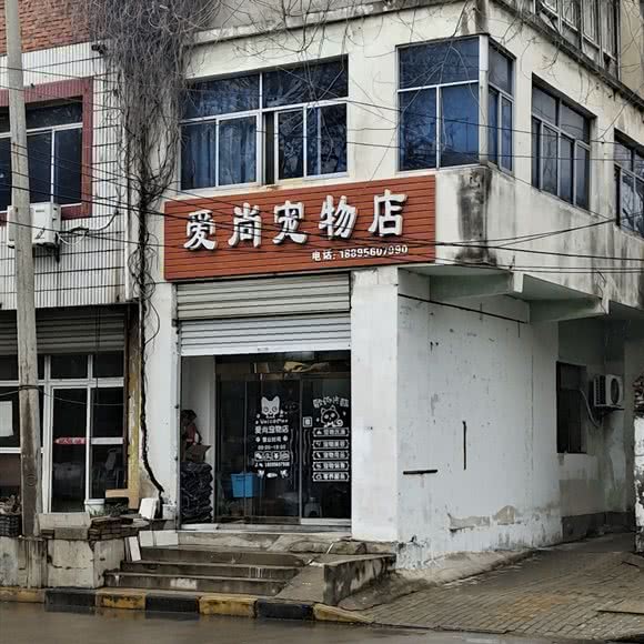 爱尚宠物店:蚌埠市蚌山区
