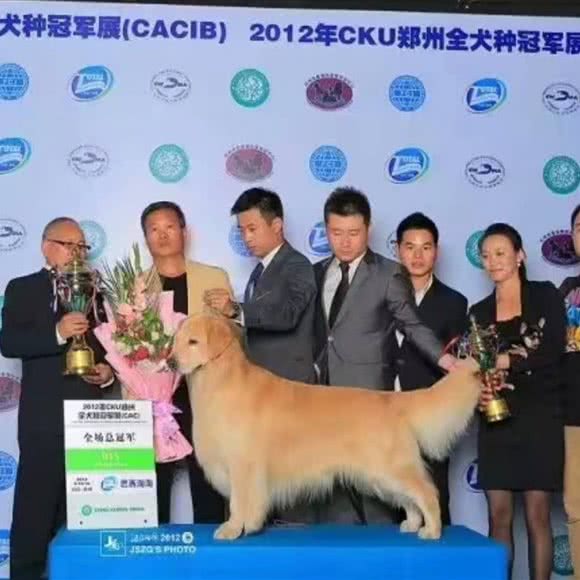金宠时代宠物生活馆:运城市盐湖区禹香苑附近