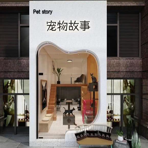 宠物故事:蚌埠市怀远县