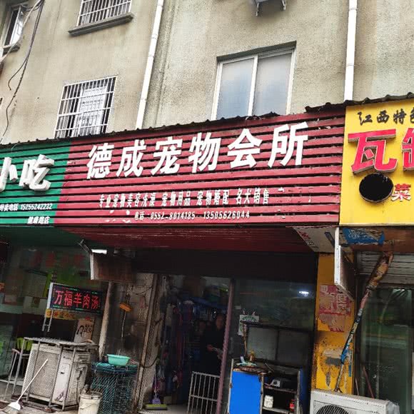 德成宠物会所:蚌埠市怀远县