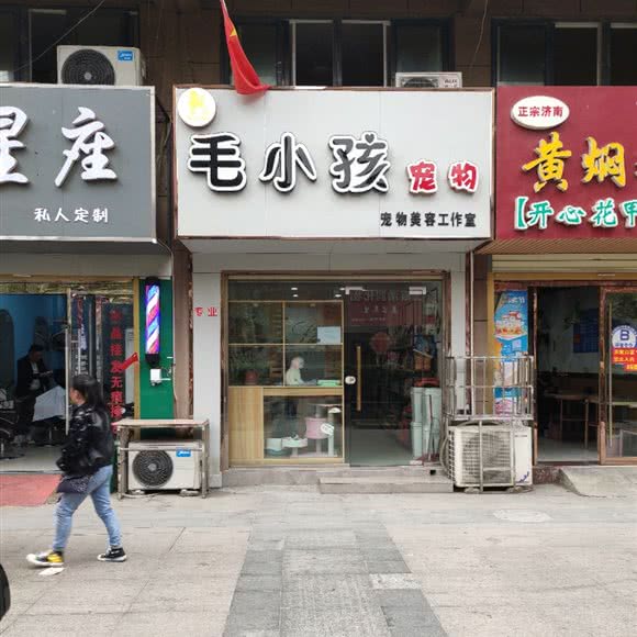 毛孩童宠物美容工作室:蚌埠市五河县