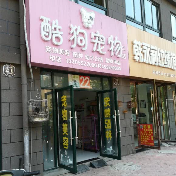 酷狗宠物(黄园路店):蚌埠市固镇县