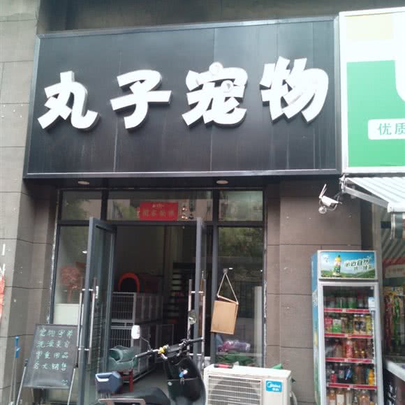 丸子宠物:淮南市田家庵区