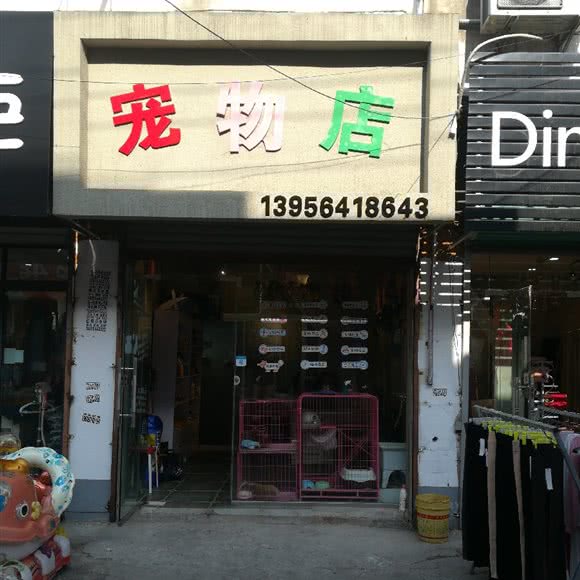 宠物店:淮南市田家庵区