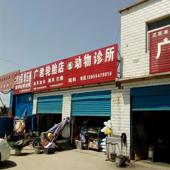 动物诊所:淮南市谢家集区