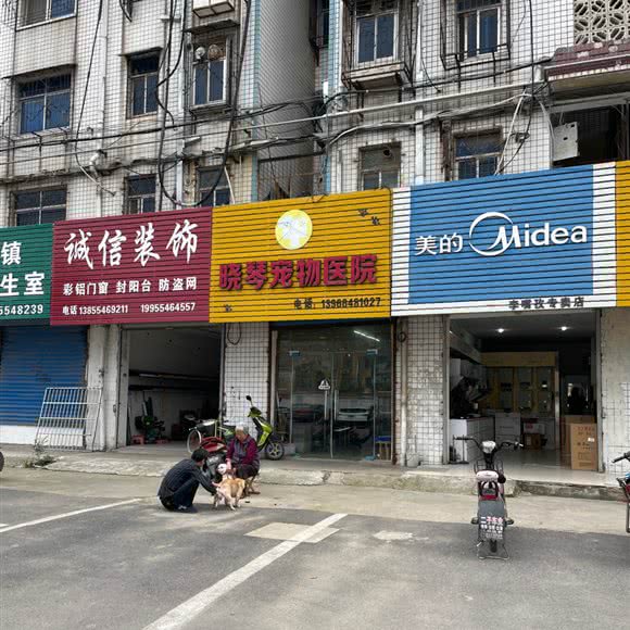 晓琴宠物医院:淮南市八公山区