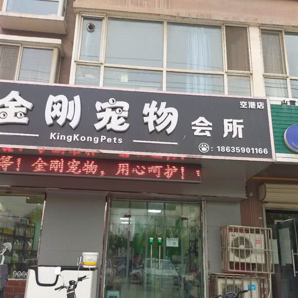 金刚宠物会所(空港店):运城市盐湖区空港开发区附近