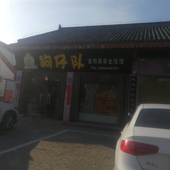 狗仔队宠物美容生活馆:淮南市寿县