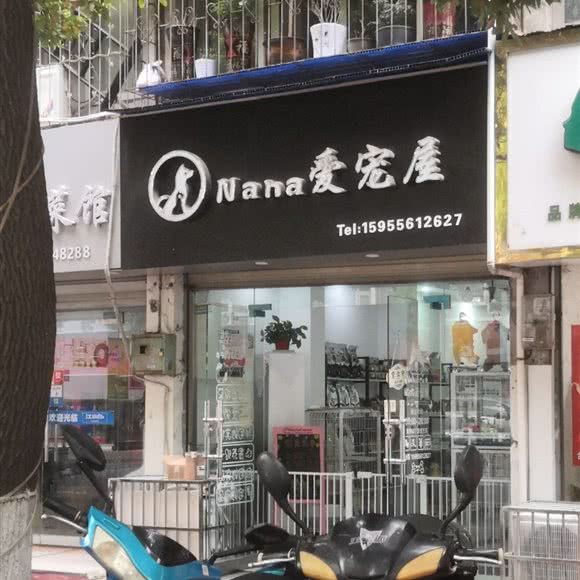 Nana爱宠屋:安庆市大观区