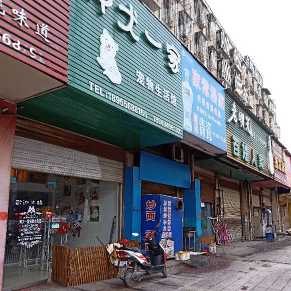 神龙一家:安庆市宜秀区